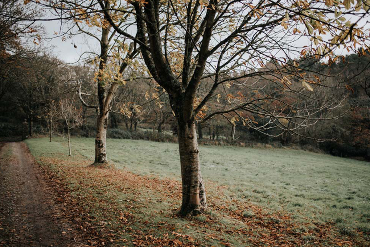 Beautiful Winter Styled Wedding In Cornwall